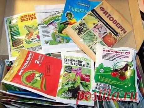 САДОВО-ОГОРОДНАЯ АПТЕЧКА
1. Препарат 30+, против зимующей стадии вредителей. 
2. Актара и Конфидор - против паутинного клеща, тли, колорадского жука. 
3. Семпай - против гусениц капустной белянки, листовёрток и пилильщиков. 
4. Раёк, Скор - против парши на яблони, ржавчины и мучнистой росы на цветах. 
5. Профит Голд, Ордан, Абига Пик, Хом - против фитофтороза. 
6. Превикур, Азофит, Триходерма - против фузариоза астр, корневых гнилей. 
7. Этамон, Циркон - препараты улучшающие корнеобразование да