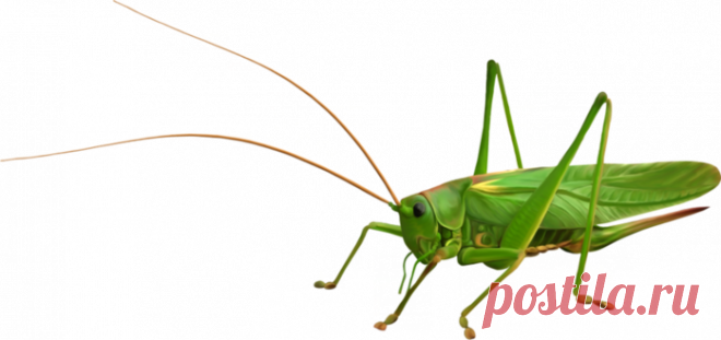 Дневник abcd21(Oksana)