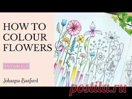 Colouring Tutorial : How to Colour Flowers