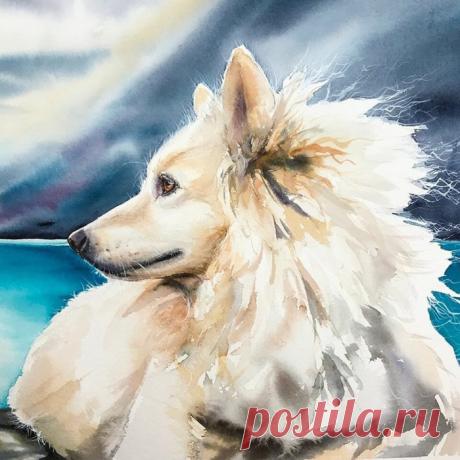 Художница Maria Raczynska и ее верные друзья