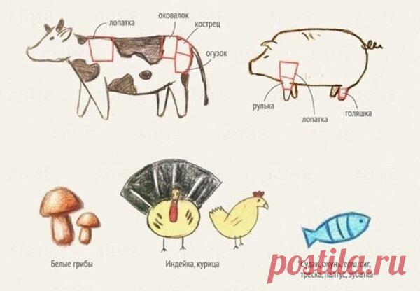 5 секретов вкуснейшего супа | Polaris - о еде и гаджетах | Яндекс Дзен