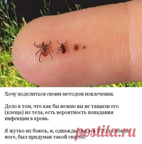 Лайфхак - полезные советы и идеи для жизни!