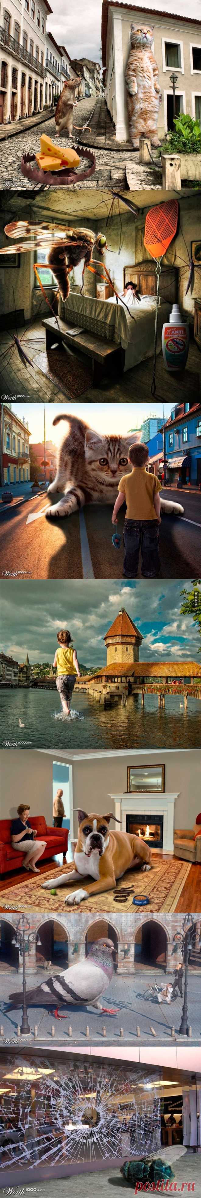HURU.RU ::: Фото приколы, юмор, смешные картинки.