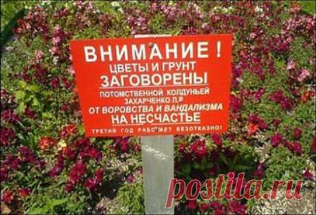 приколы