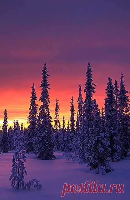 Winter Sunrise, 
flickr от Antti-Jussi Liikala  |  Найдено на сайте flickr.com.