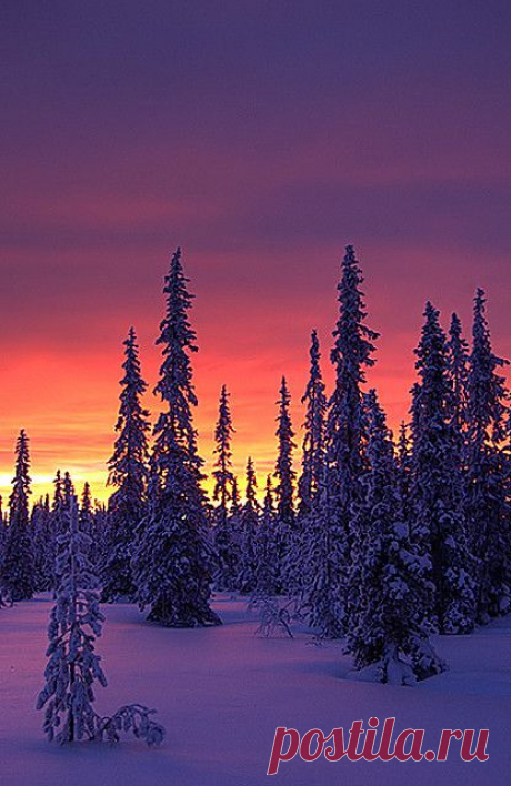 Winter Sunrise, 
flickr от Antti-Jussi Liikala  |  Найдено на сайте flickr.com.