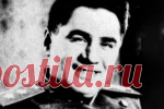 Волкодав Сталина.
