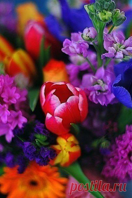 Екатерина Красильникова – Google+ - ;)﻿