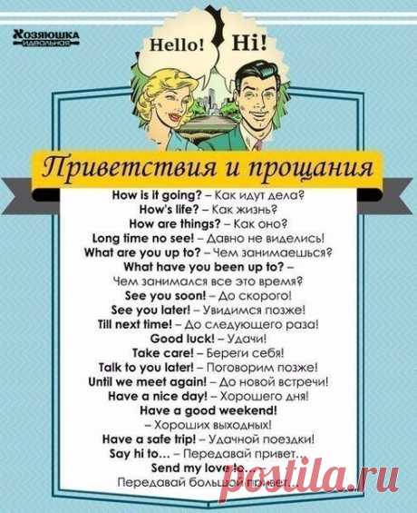 Идеальная Хозяюшка