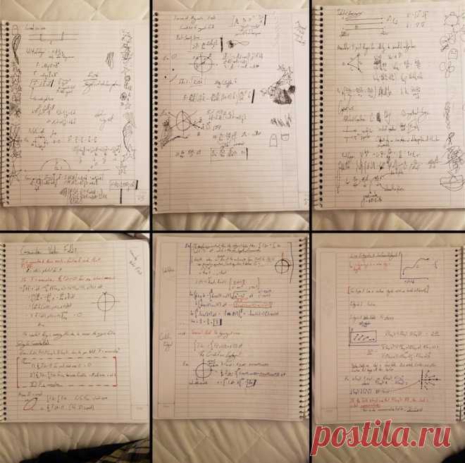 16 ярких фотосравнений, которые объясняют окружающий нас мир не хуже учебников