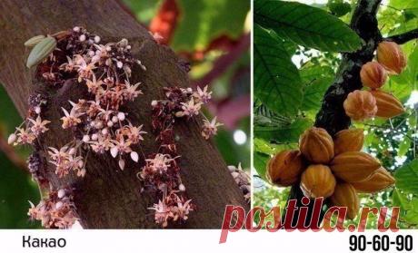 90-60-90 | Спортивные девушки