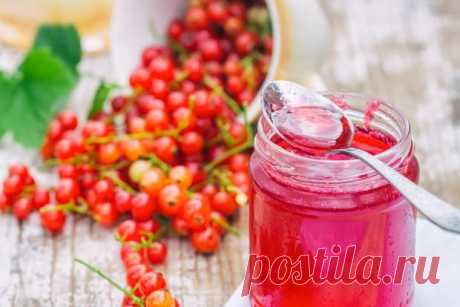 Желе из красной смородины с веточками — Домашняя кулинария