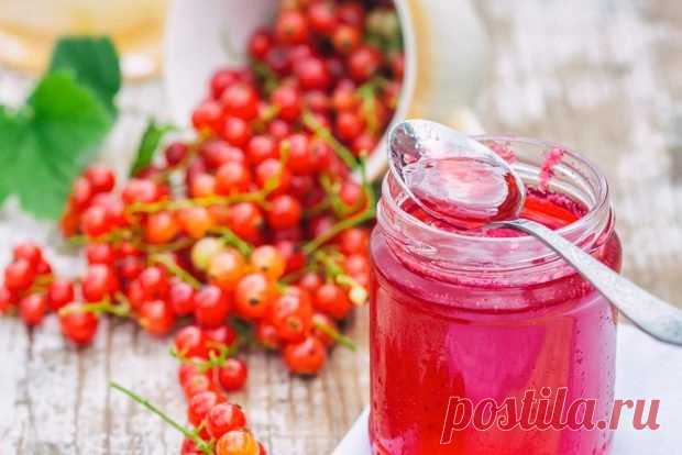 Желе из красной смородины с веточками — Домашняя кулинария