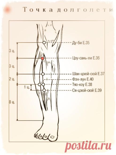 Точка от 100 болезней на вашем теле