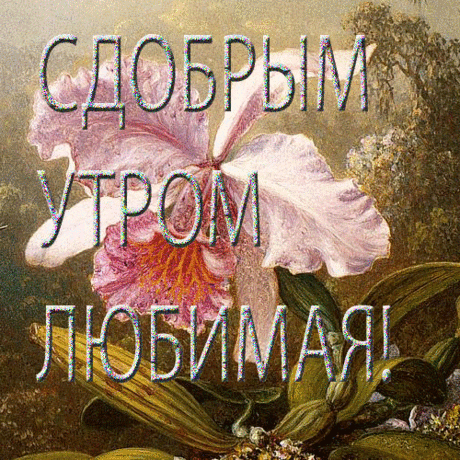 Пишем шумом