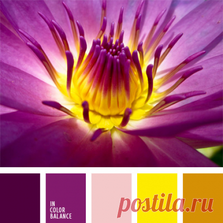 Цветы, деревья — источник вдохновения! | BepHuK собирает друзей