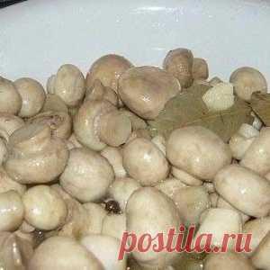 Маринуйте грибы сами