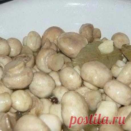 Маринуйте грибы сами
