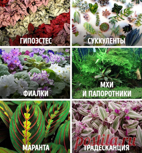 Как сделать сказочный мини-сад : Полезные советы : Дом : Subscribe.Ru