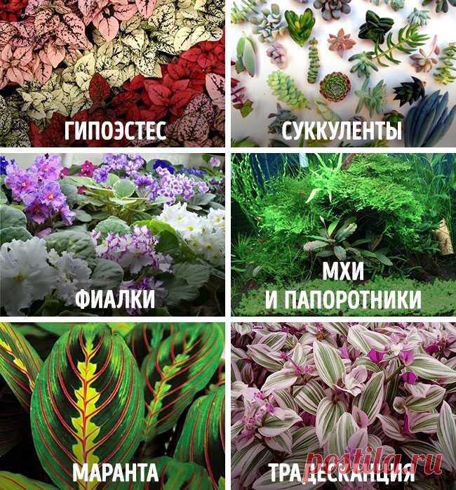 Как сделать сказочный мини-сад : Полезные советы : Дом : Subscribe.Ru