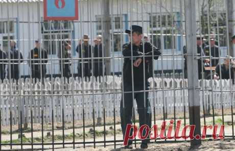 ТАСС: Биографии и справки - Объявление амнистий в России. Досье