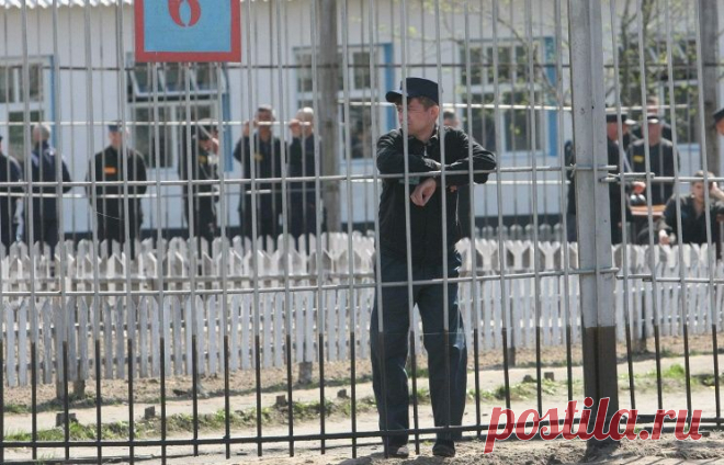 ТАСС: Биографии и справки - Объявление амнистий в России. Досье