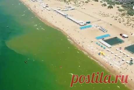 Названо условие возвращения нормального цвета Черного моря. Зеленый цвет моря, который возник в результате цветения водорослей, может исчезнуть только при условии сильного ветра и течений. Такое условие назвал начальник отдела морской санитарной биологии Института южных морей Сергей Алемов. Ученый заявил, что на возвращение нормального цвета моря повлияет зоопланктон.