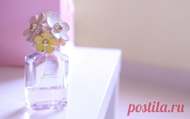 Как отличить настоящий парфюм от подделки: 7 главных пунктов