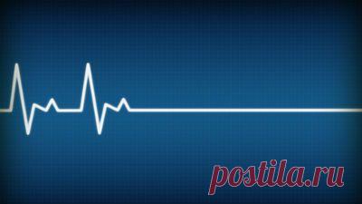 В Египте россиянина отключили от аппарата жизнеобеспечения из-за долга перед больницей | Картина Дня