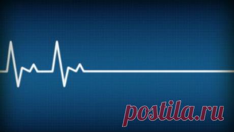 В Египте россиянина отключили от аппарата жизнеобеспечения из-за долга перед больницей | Картина Дня