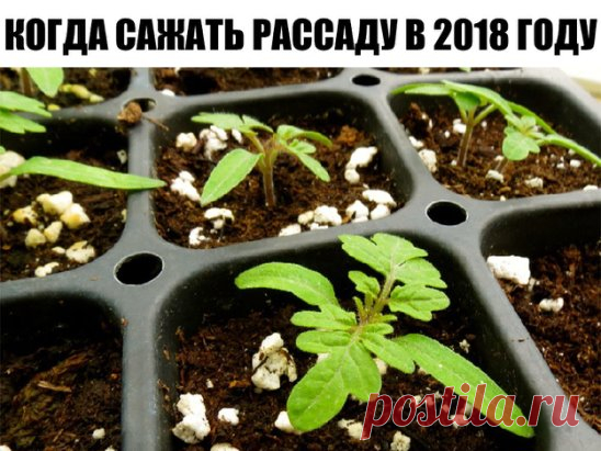 КОГДА САЖАТЬ РАССАДУ В 2018 ГОДУ - КАЛЕНДАРЬ ПОСАДКИ РАССАДЫ 
Сохраните себе на стену, обязательно пригодится!
Работа в саду или огороде требует огромных затрат, как физических, так и духовных. Ведь необходимо не просто посадить растение, но и сделать это с душой и умом. Для достижения успеха необходимо еще и действовать в соответствии с природой, а это бывает не так и легко. 2018 год обещает принести хороший урожай, но при условии, что вы будете следовать лунным циклам. А в этом вам поможет ка