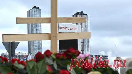 В ФРГ город-побратим Красногорска готовит письмо из-за теракта в &quot;Крокусе&quot;