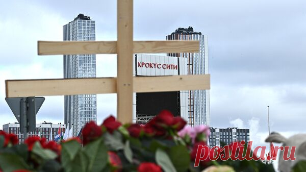 В ФРГ город-побратим Красногорска готовит письмо из-за теракта в "Крокусе"