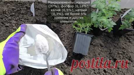 #семенарассада
ЧТО ДОБАВИТЬ В ЛУНКУ
Середина мая — время, когда дачники приступают к высадке рассады в открытый грунт или в теплицы. Это крайне важный этап подготовки к дачному сезону, ведь именно сейчас мы можем дать растениям все те питательные вещества, которые помогут пережить стресс, легко адаптироваться к новым условиям и нарастить крепкую и здоровую корневую систему. Самый простой способ помочь растениям — внести удобрения в лунку при посадке, это быстро, просто и...