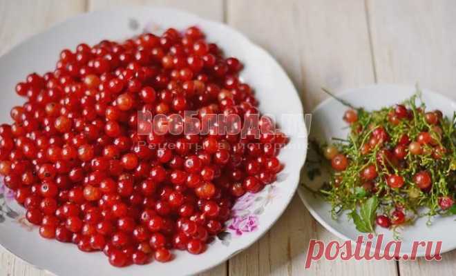 Холодное варенье из красной смородины, рецепт перетертой красной смородины с сахаром, пошаговые фото | Все Блюда