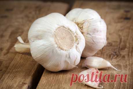 Чтобы похудеть, на ночь съедаю зубчик чеснока, запивая кефиром. Еще и иммунитет укрепишь! - Образованная Сова Наверное, каждого из нас в детстве мама заставляла есть чеснок, особенно зимой, когда все массово болели. Вот моя мама приучила меня есть чеснок, я даже его любила. Она всегда давала мне с собой в садик пару зубчиков. И я ела, несмотря на запах, зато не болела, как другие дети. Чеснок полезен: он и от вирусов …