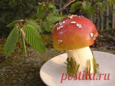 ДЕТЯМ ПОНРАВИТСЯ 

Нет это не гриб, это всего лишь яблоко и банан. Детишкам очень понравится))
 









