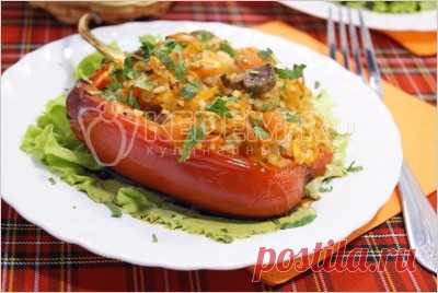Фаршированные овощами и грибами перцы в духовке – Рецепт с фото. Рецепты. Вторые блюда. Блюда из овощей