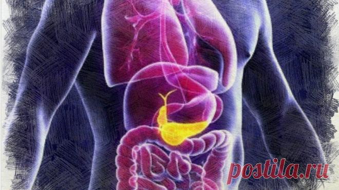 Скрытый враг поджелудочной железы, а так же дешевый и полезный продукт, за который она скажет спасибо | Книга рецептов молодости | Дзен