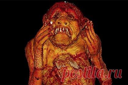 Ученые раскрыли тайну японской русалки. Японские ученые из Университета науки и искусств Кураcики решили исследовать странную мумию из храма на юге страны. Существо, напоминающее обезьянку с рыбьим хвостом, оказалось куклой. Компьютерная томография показала, что внутри нет крупных костей, а верхняя часть туловища сделана из ткани и бумаги.