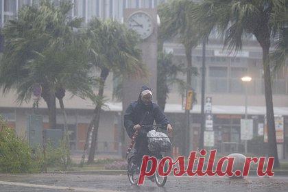 В Дели из-за сильного дождя разрушились 15 зданий. Один человек погиб, 15 зданий были разрушены в результате самых сильных за последние 20 лет ливней в индийской столице Дели. По данным журналистов, в субботу, 8 июля, в городе произошел сильный ливень. Из-за него рухнули 15 зданий, погиб один человек. Жители индийской столицы столкнулись с проблемами.