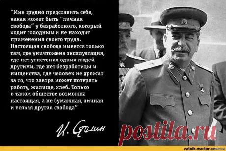 Человек, которого ненавидит вся «элита» Мира | МИР ГЛАЗАМИ ГРАФОМАНА | Дзен