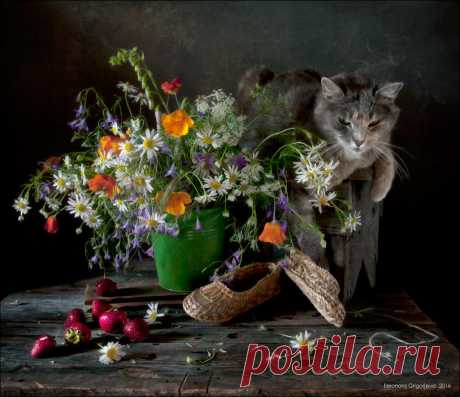 35PHOTO - Eleonora Grigorjeva - А за окном сейчас ноябрь...