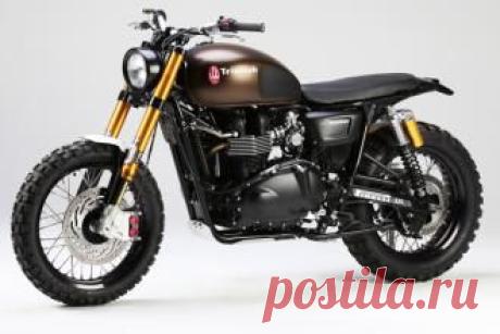 Triumph переживают бум продаж в Северной Америке - свежие новости Украины и мира