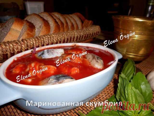 Маринованная скумбрия
