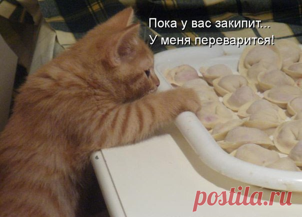 Секреты кулинарии | Новогодние рецепты