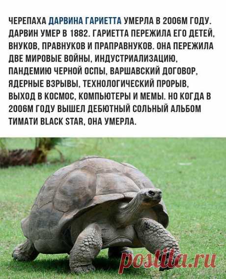 Интересные новости