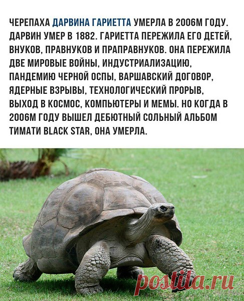 Интересные новости