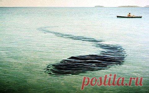 (+1) - Загадочные снимки | Наука и техника