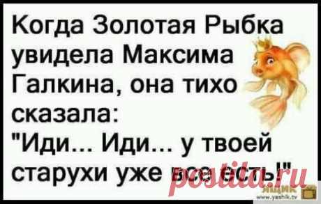 - Дорогой, я красивая? - Так... лайков на 15-20... - Выпуск №2257 — Вокруг смеха
